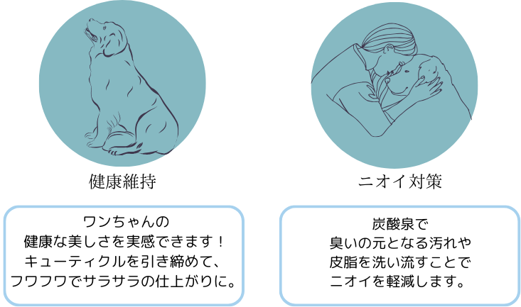 炭酸泉シャワーのイメージと効能の図解